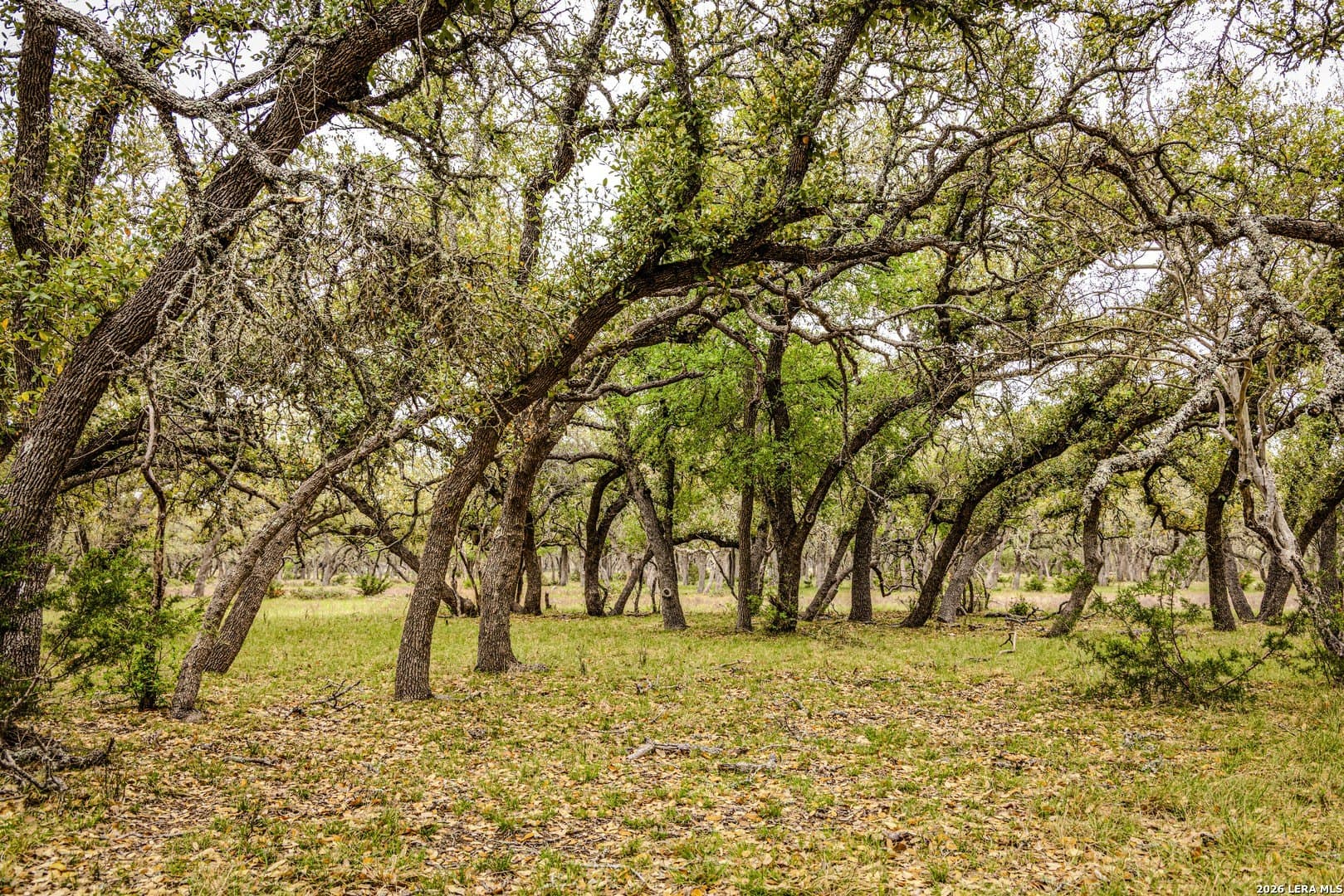 33 acres in Kendall County - photo 43
