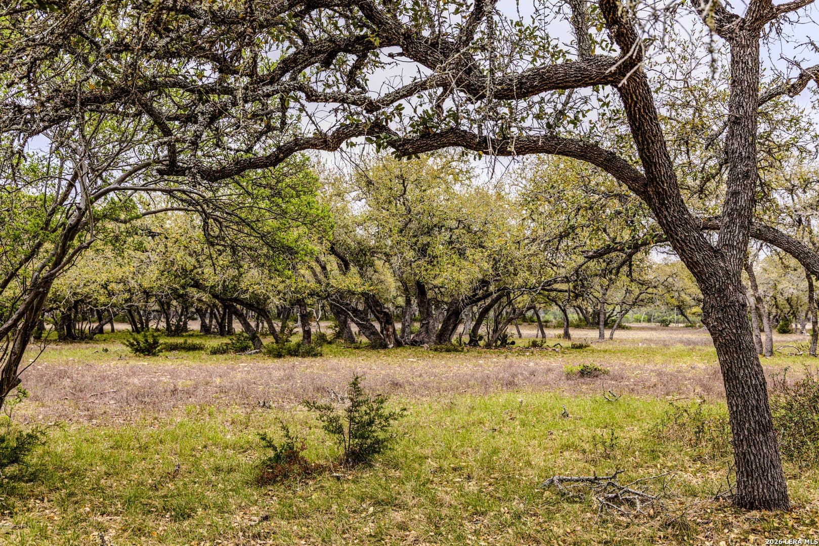 33 acres in Kendall County - photo 44