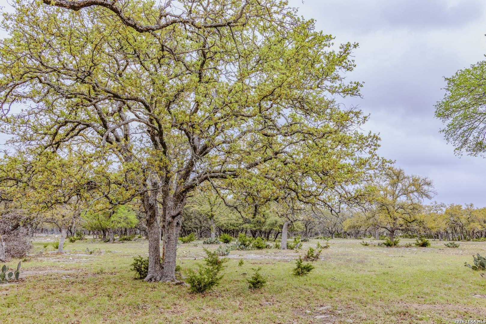 33 acres in Kendall County - photo 37