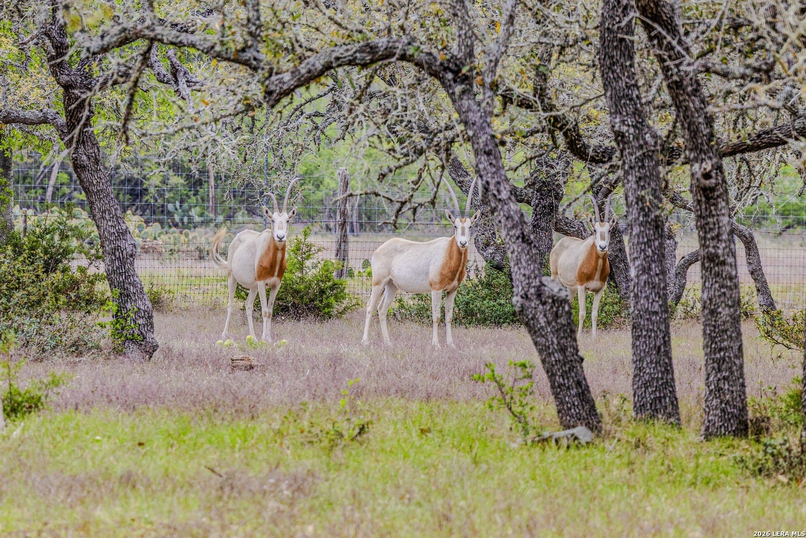 33 acres in Kendall County - photo 45
