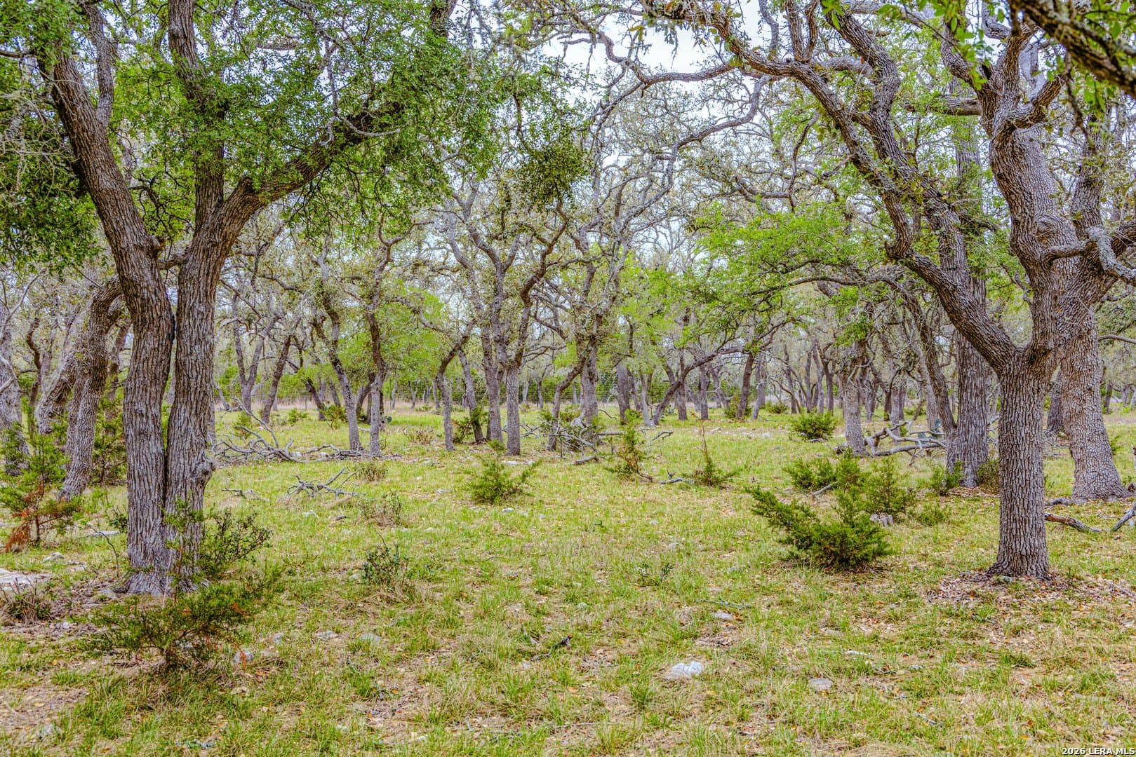 33 acres in Kendall County - photo 32