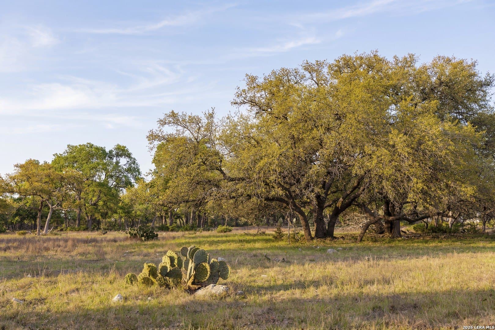 33 acres in Kendall County - photo 14