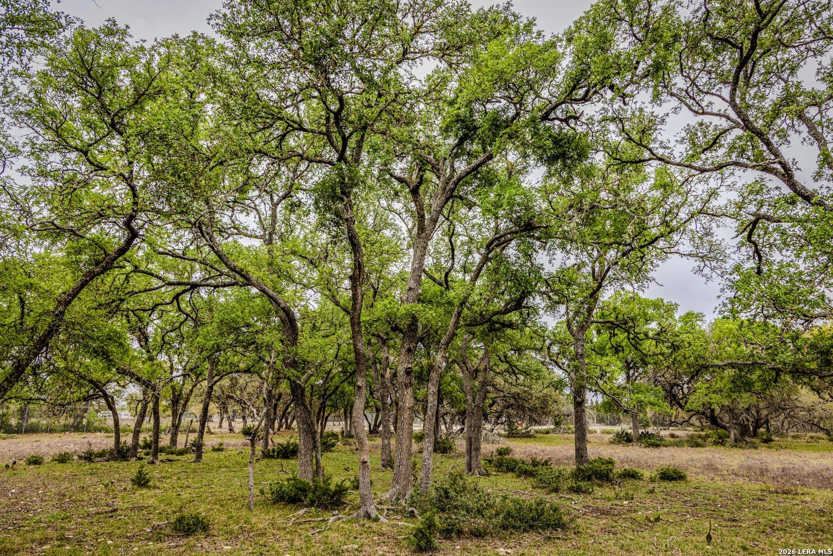 33 acres in Kendall County - photo 34