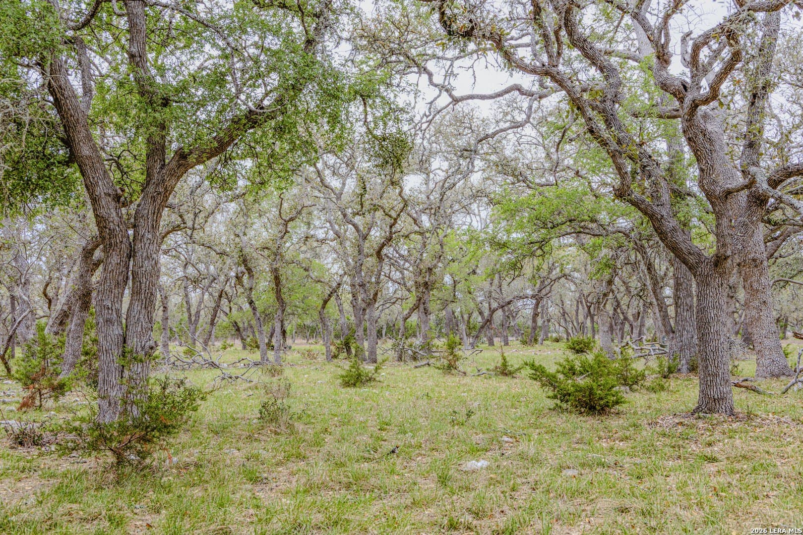 33 acres in Kendall County - photo 31
