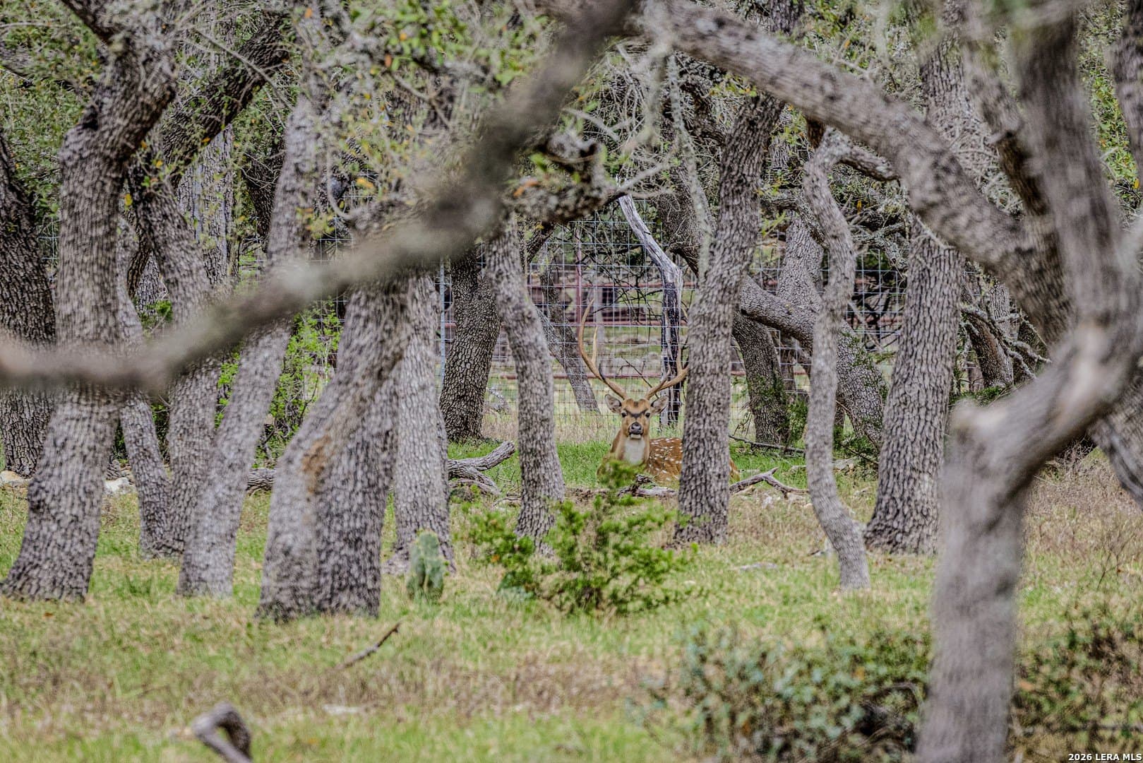 33 acres in Kendall County - photo 10