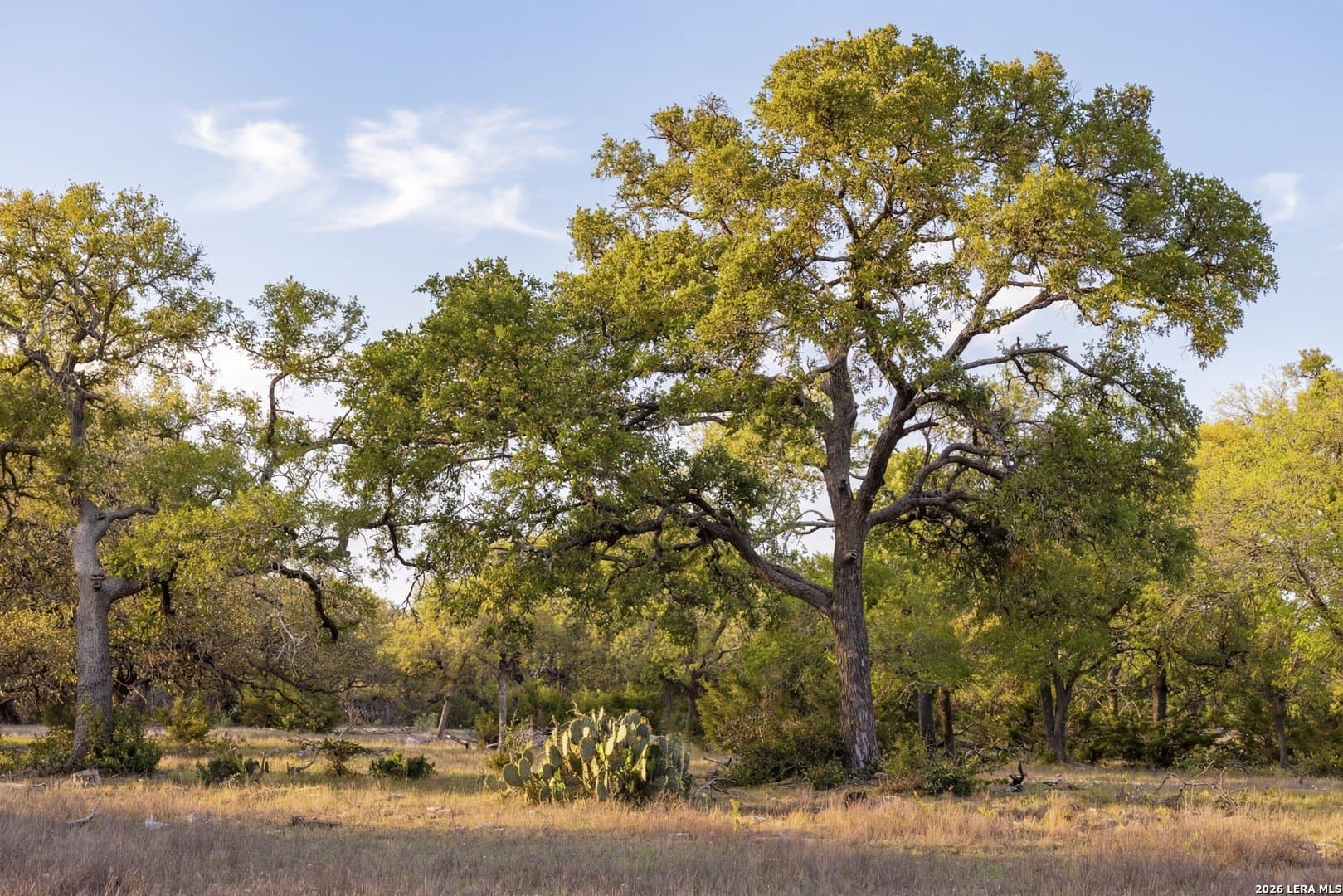 33 acres in Kendall County gallery image 2
