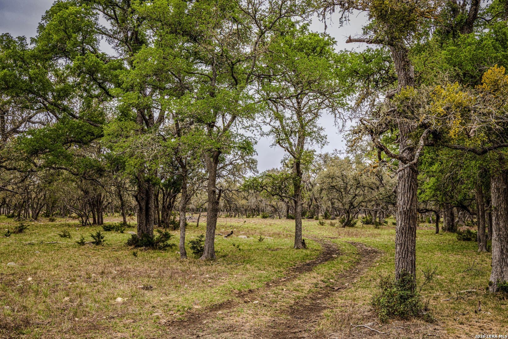 33 acres in Kendall County - photo 33