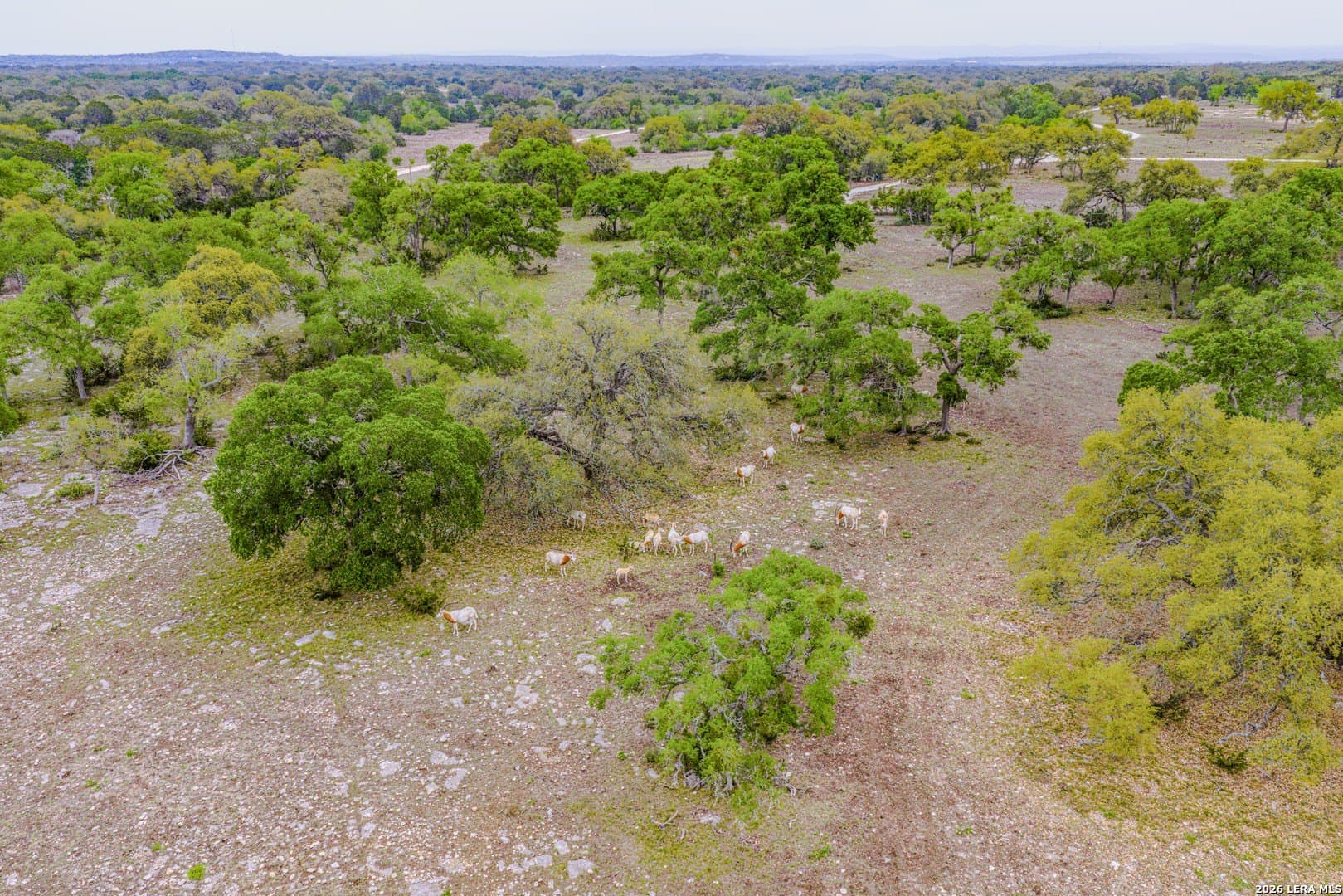 33 acres in Kendall County - photo 24