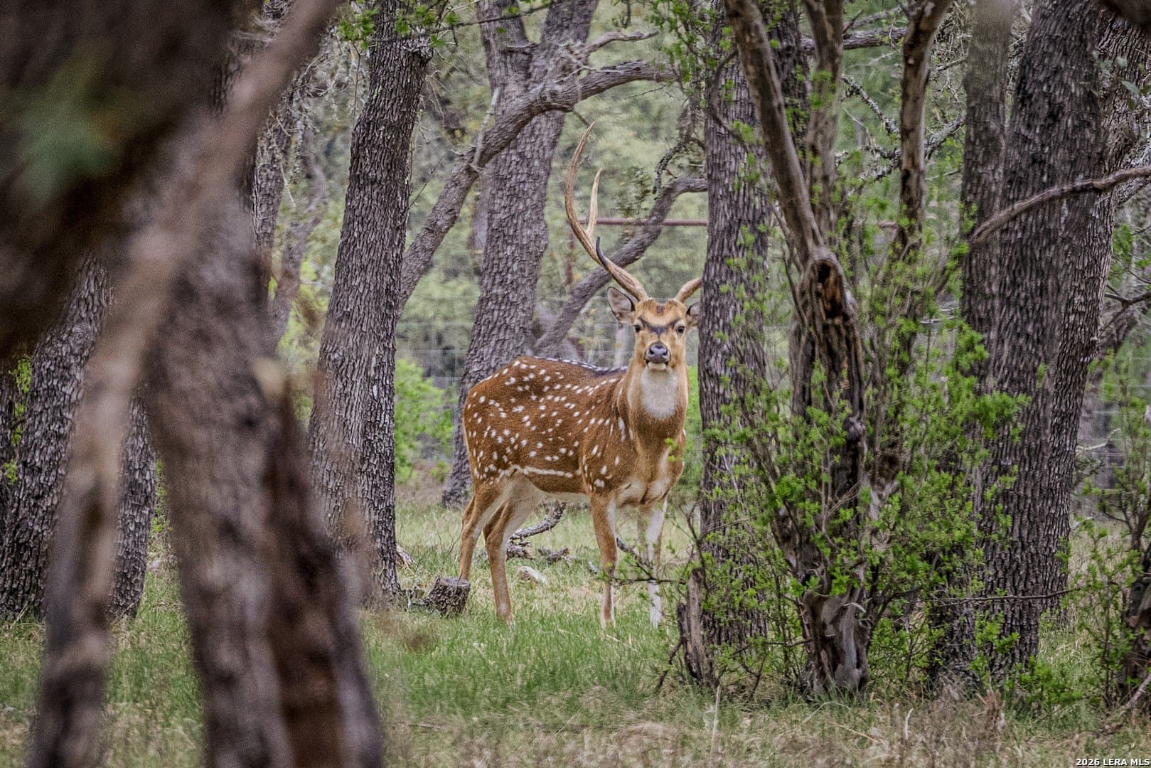 33 acres in Kendall County