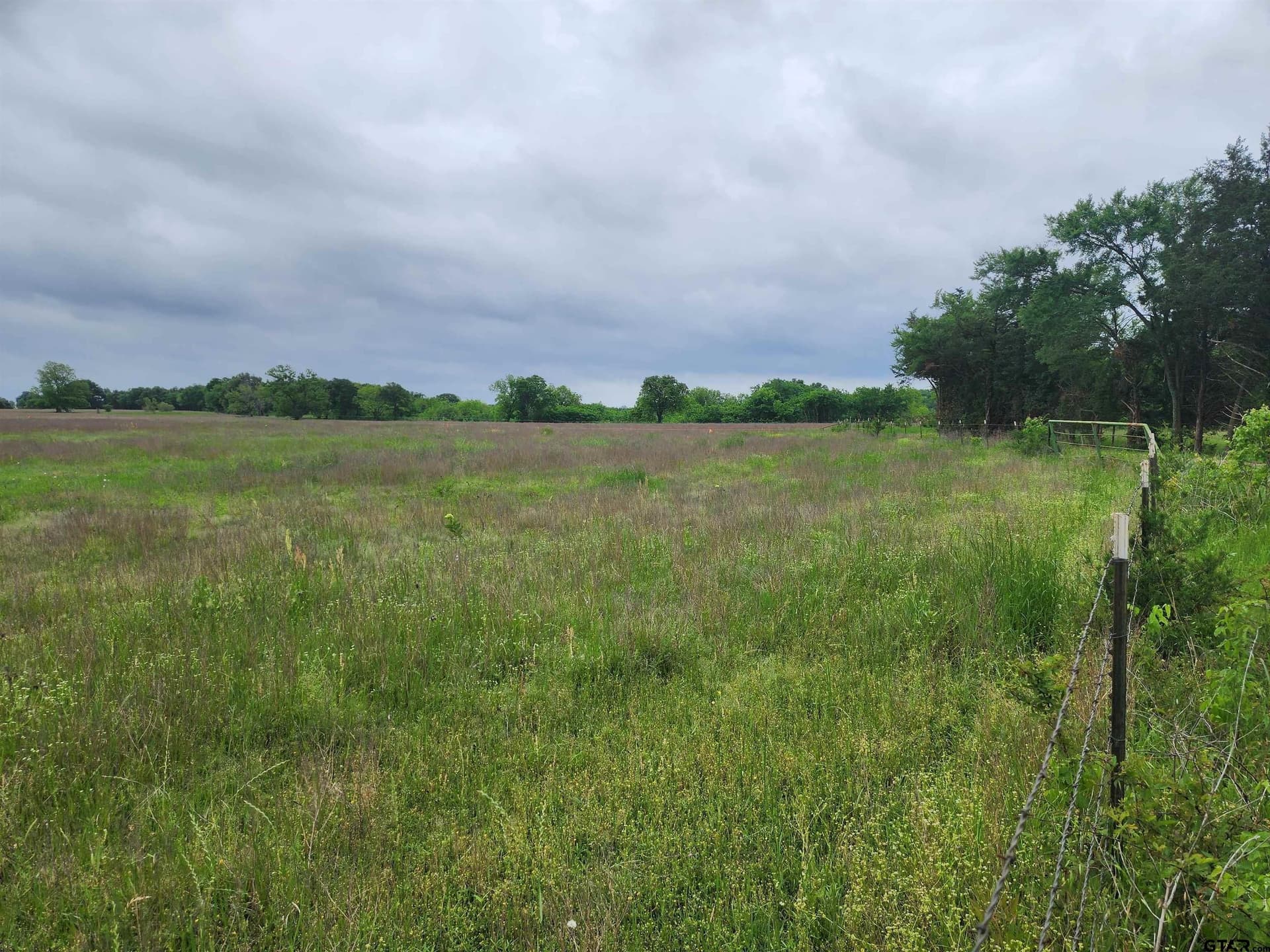 5 acres in Lamar County gallery image 3