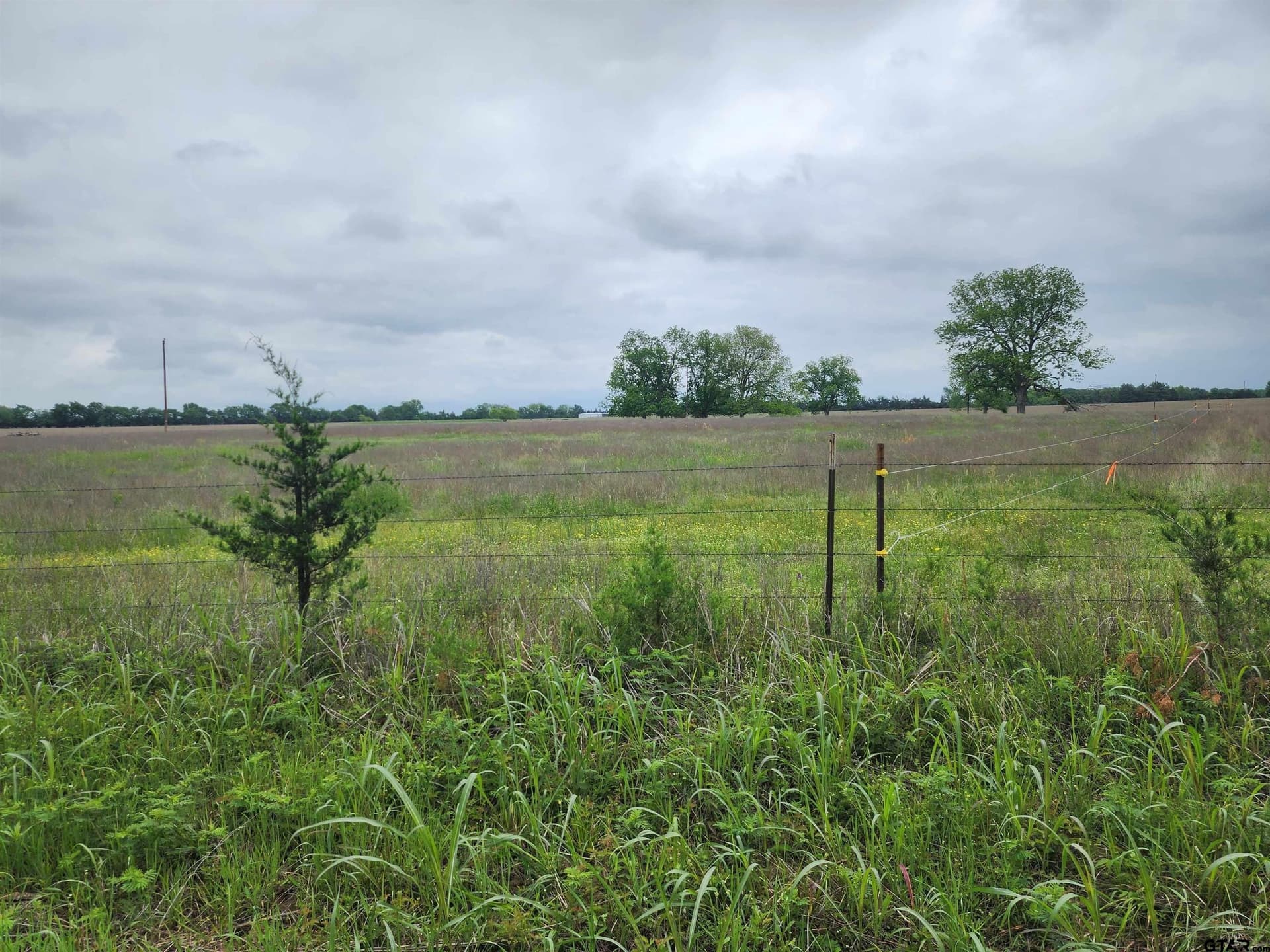 5 acres in Lamar County gallery image 4