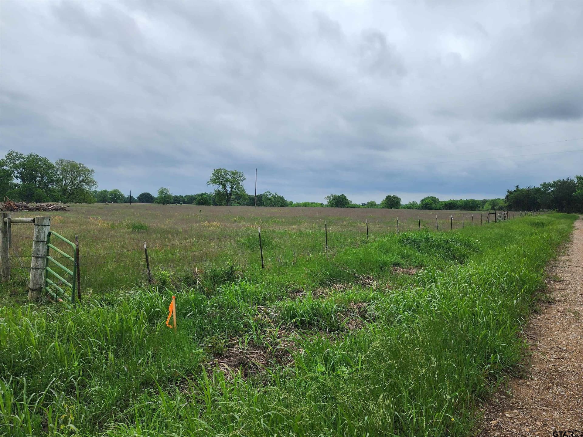 5 acres in Lamar County gallery image 2