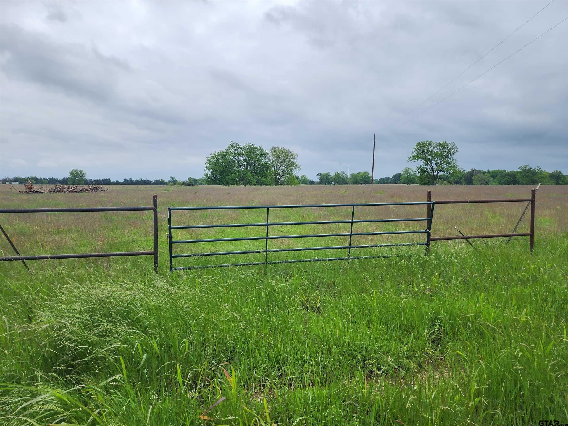 5 acres in Lamar County