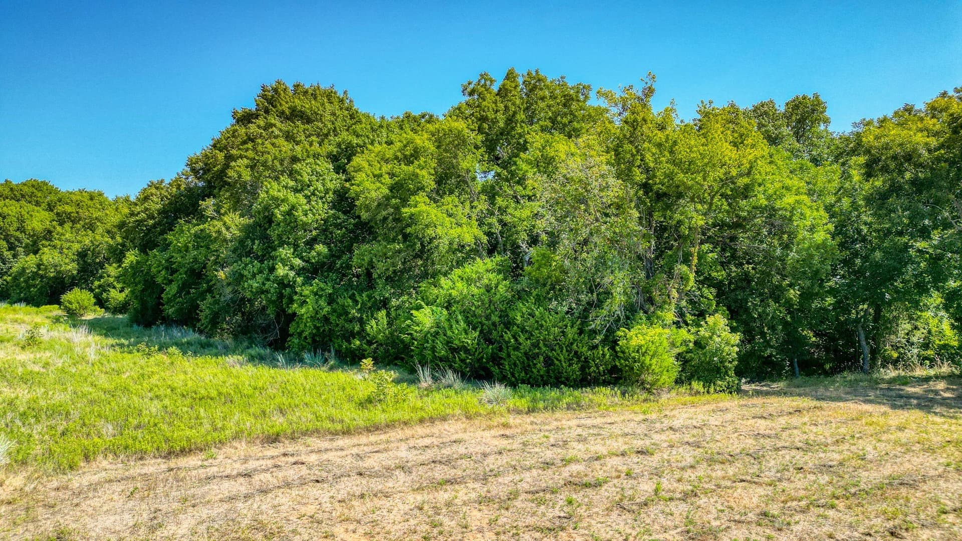 2.03 acres in Parker County - photo 6