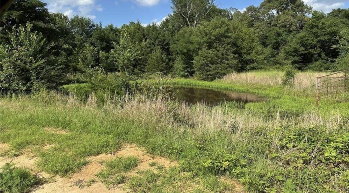 3.9 acres in Lamar County - photo 6