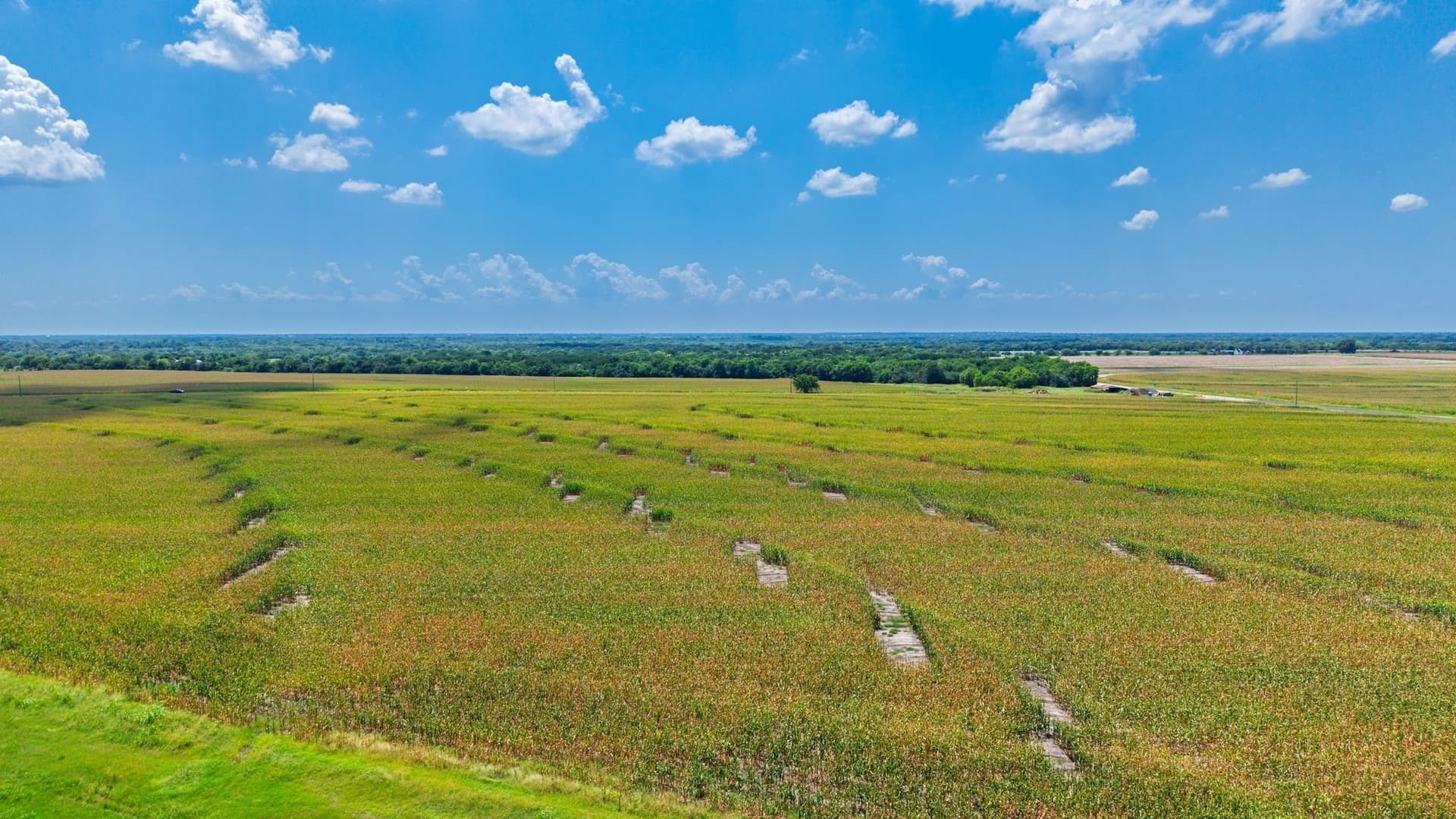 203.09 acres in Hunt County - photo 6