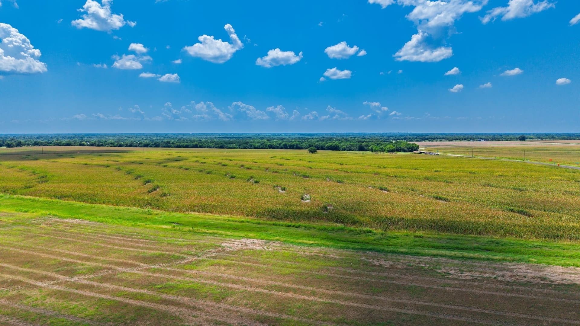 203.09 acres in Hunt County - photo 13