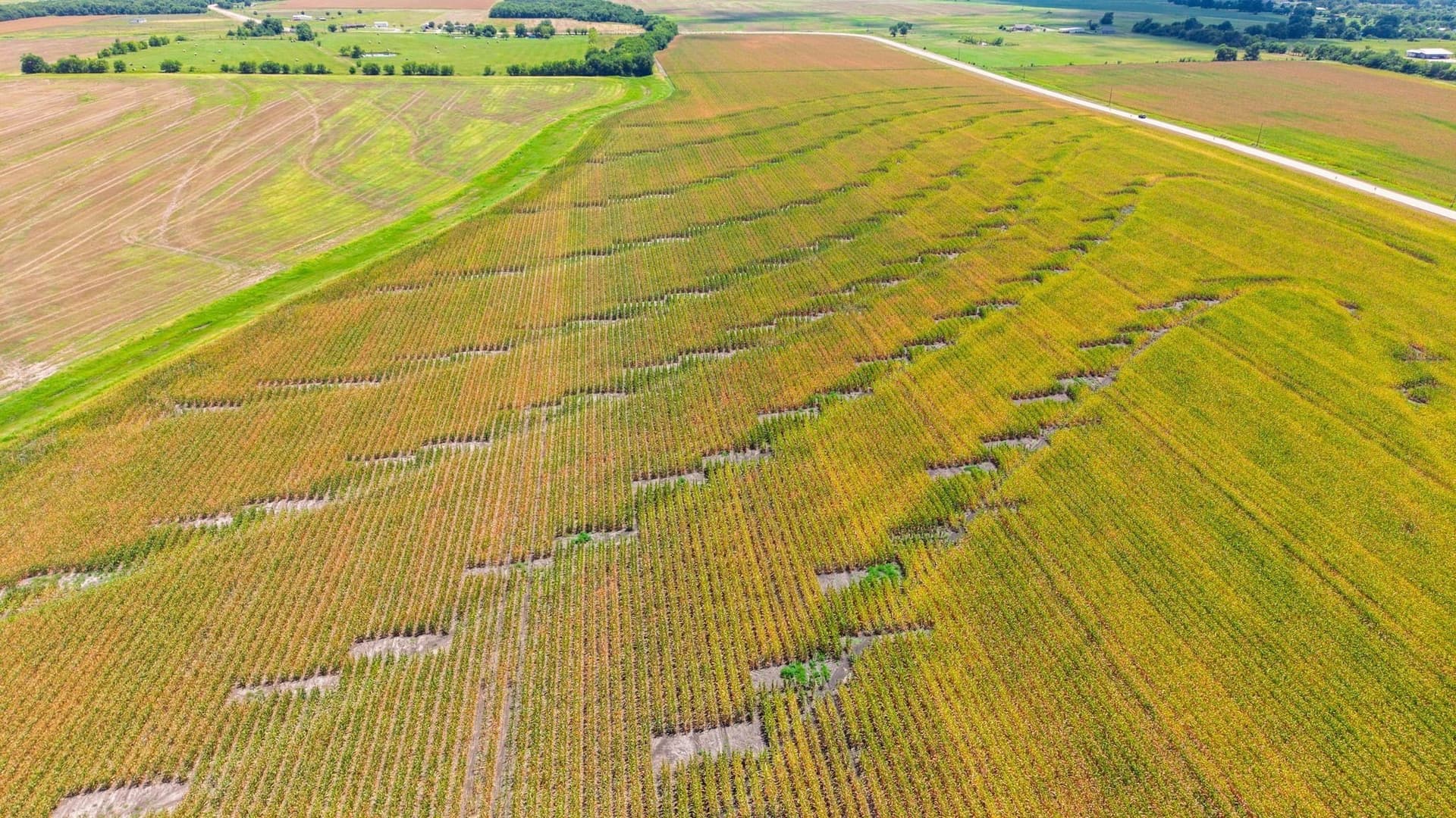 203.09 acres in Hunt County - photo 18