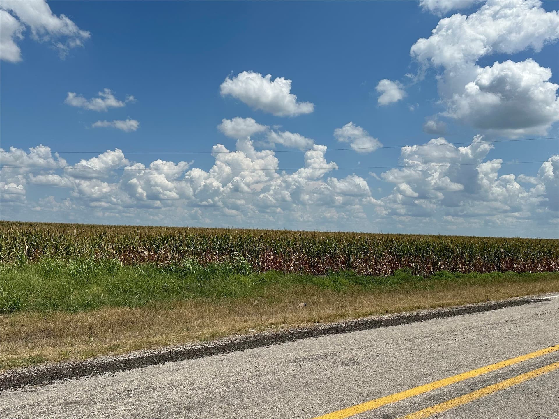 203.09 acres in Hunt County - photo 11