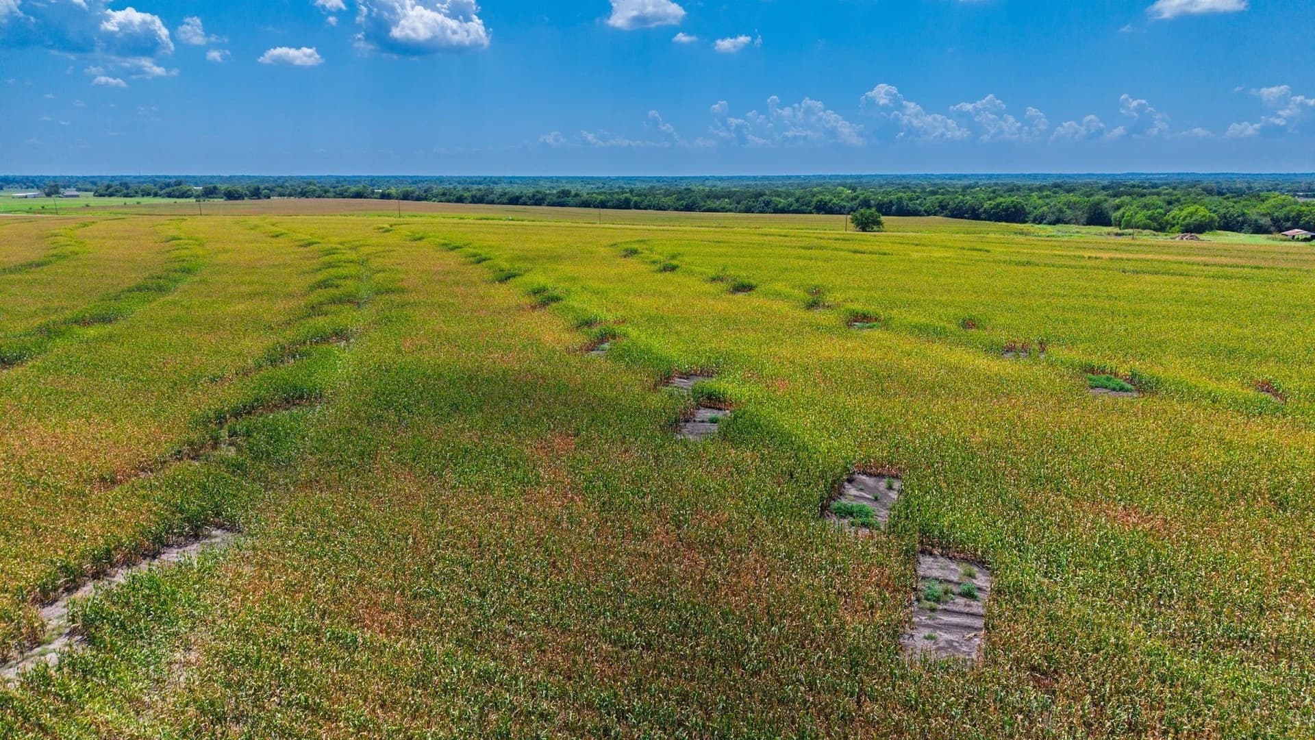 203.09 acres in Hunt County - photo 14