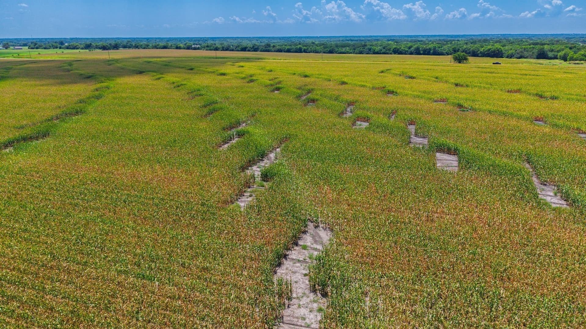 203.09 acres in Hunt County - photo 15