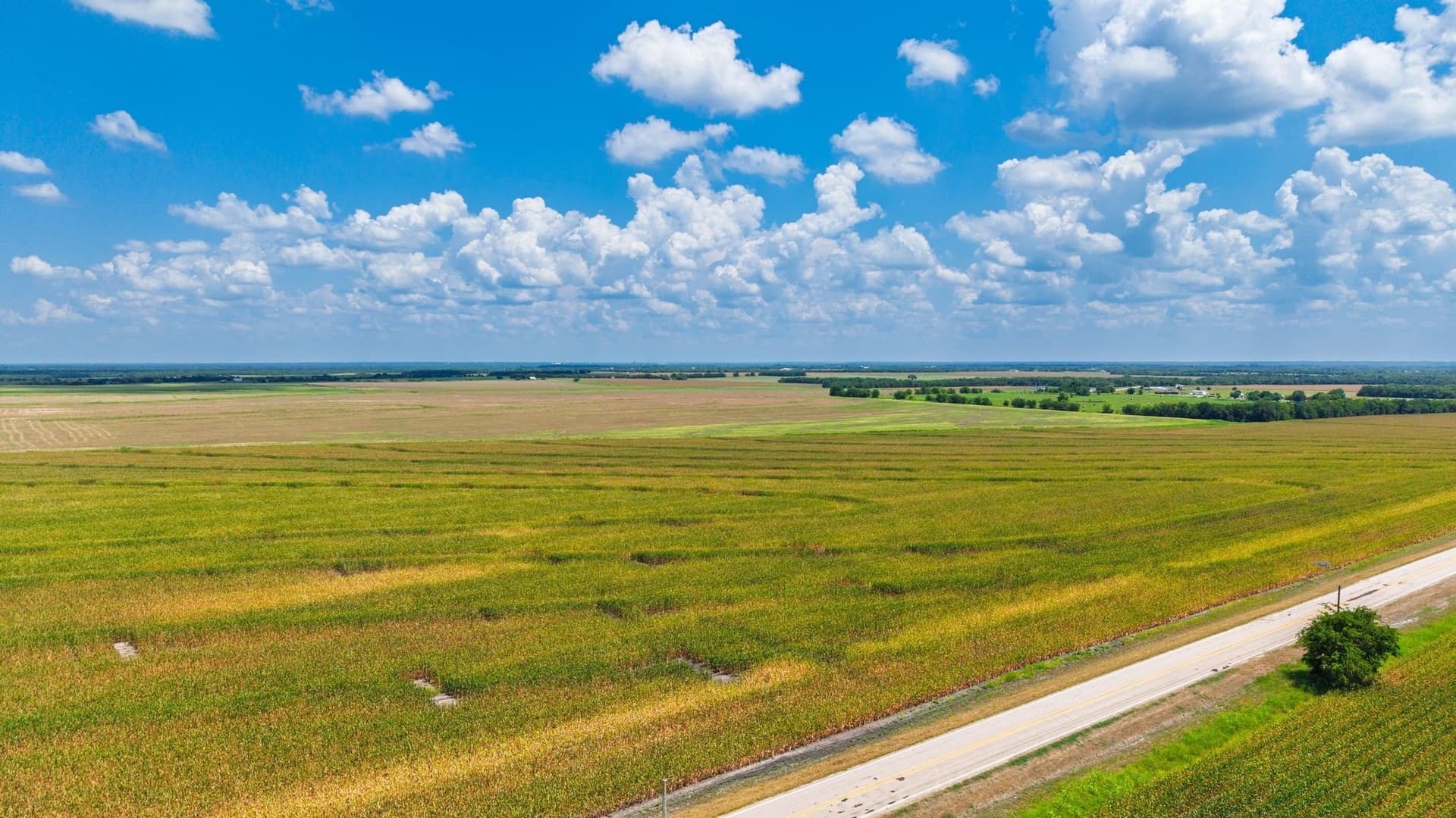 203.09 acres in Hunt County gallery image 4