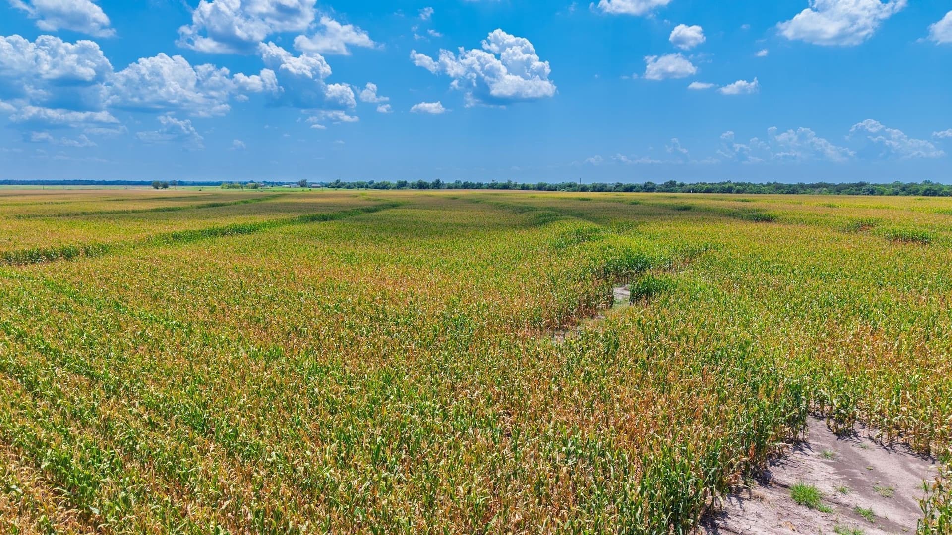 203.09 acres in Hunt County - photo 16