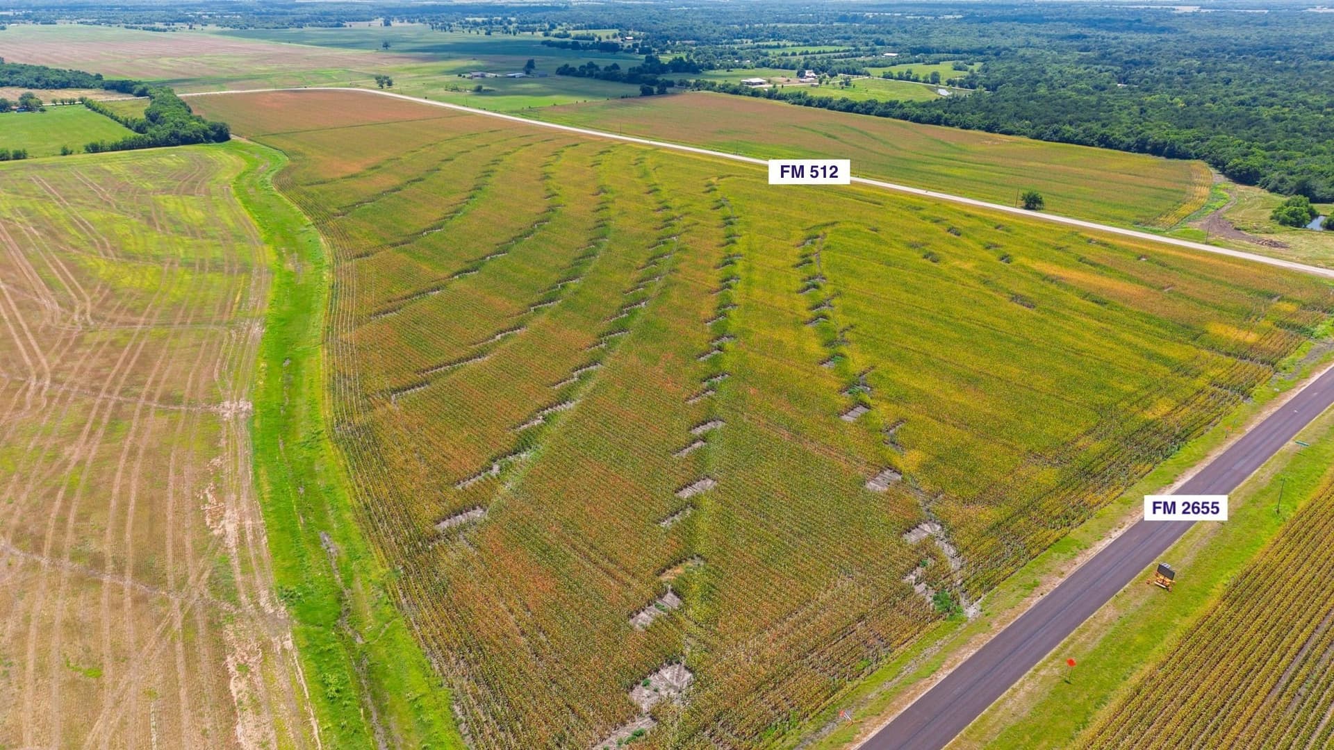 203.09 acres in Hunt County gallery image 2