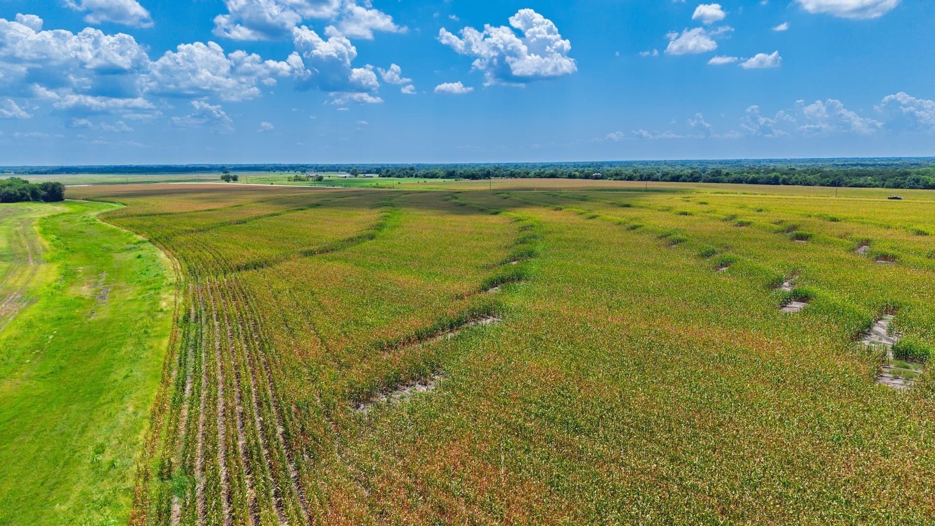 203.09 acres in Hunt County - photo 7