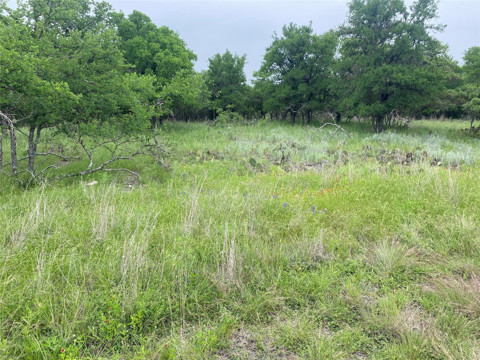 1.33 acres in Brown County gallery image 4