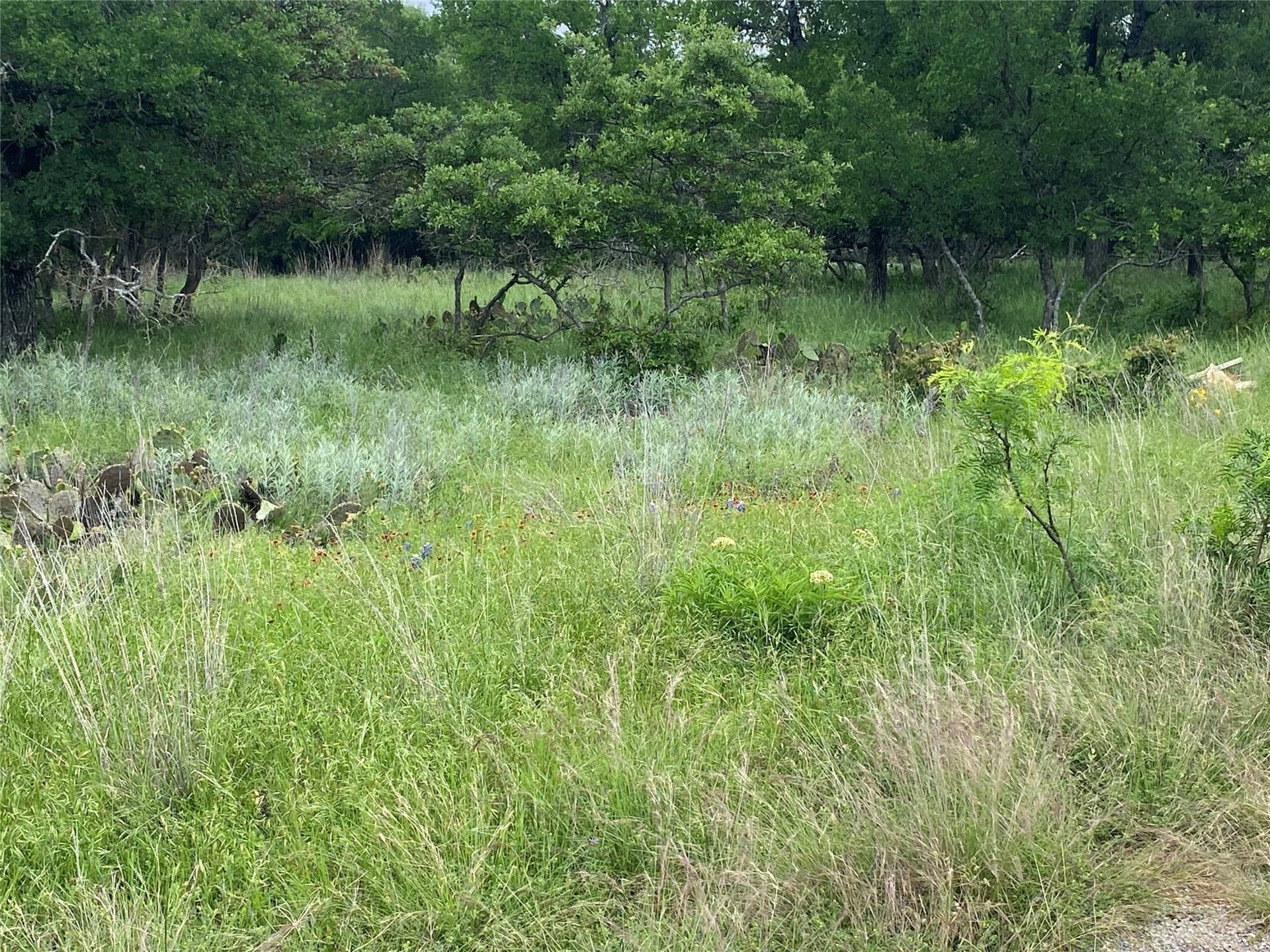 1.33 acres in Brown County gallery image 3