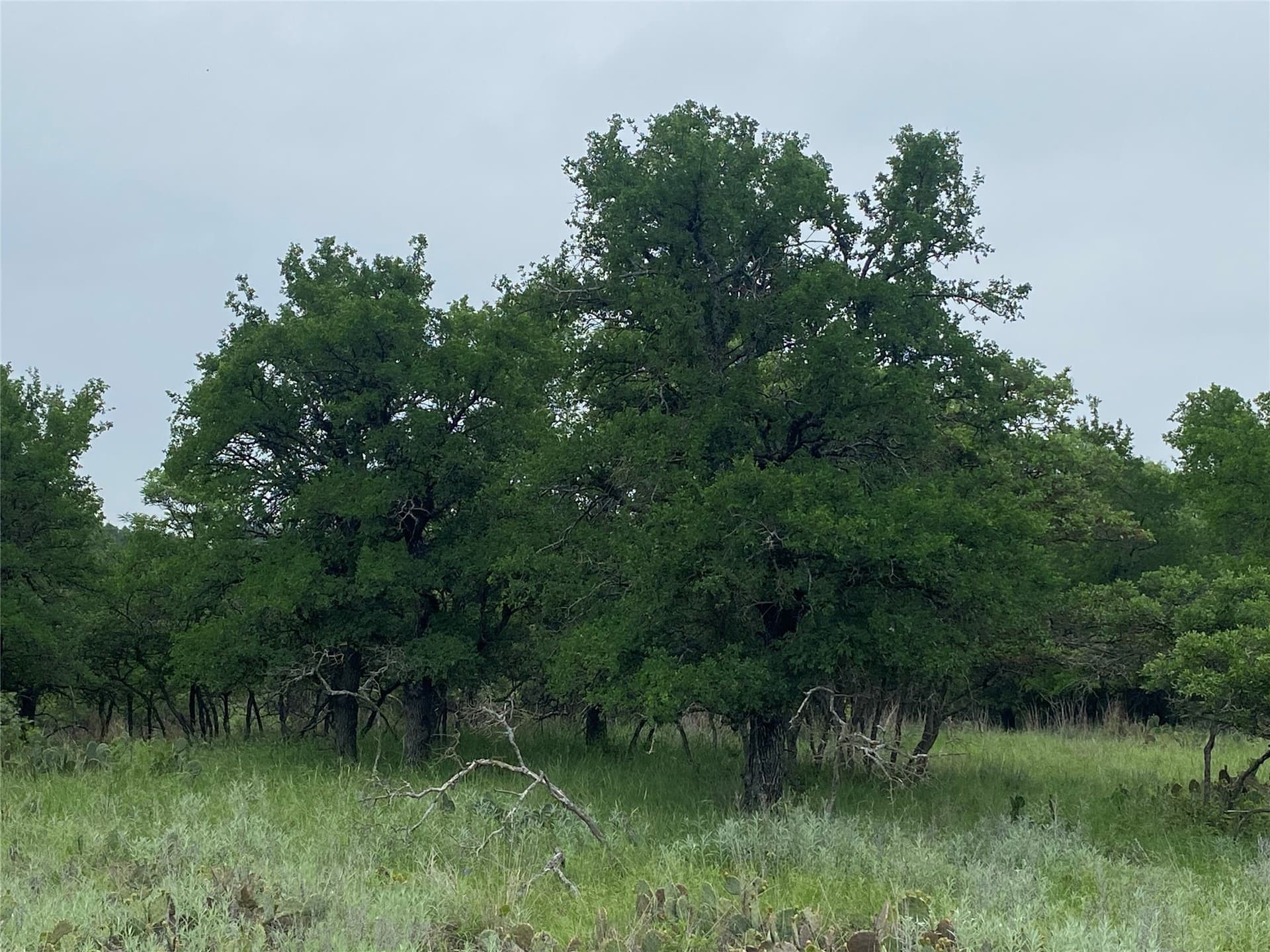 1.33 acres in Brown County gallery image 2