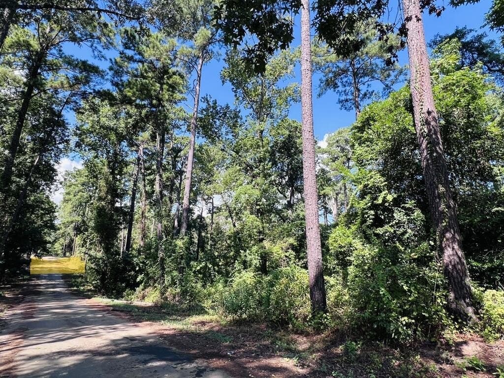1.6 acres in Texas County - photo 6