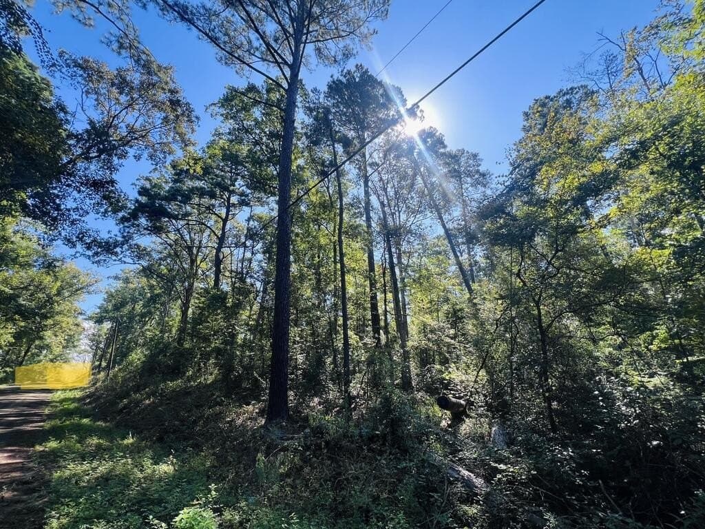 1.6 acres in Texas County - photo 8