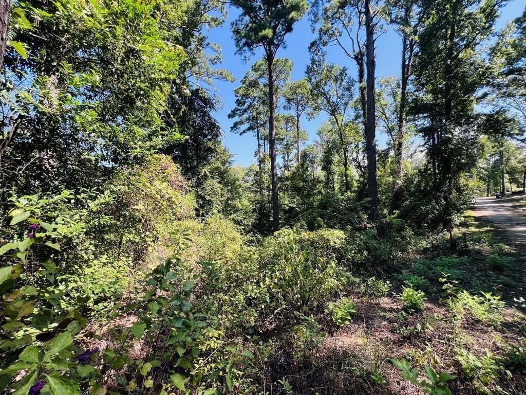 1.6 acres in Texas County - photo 4