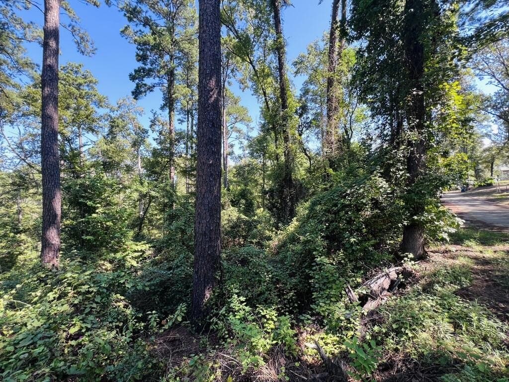 1.6 acres in Texas County - photo 5