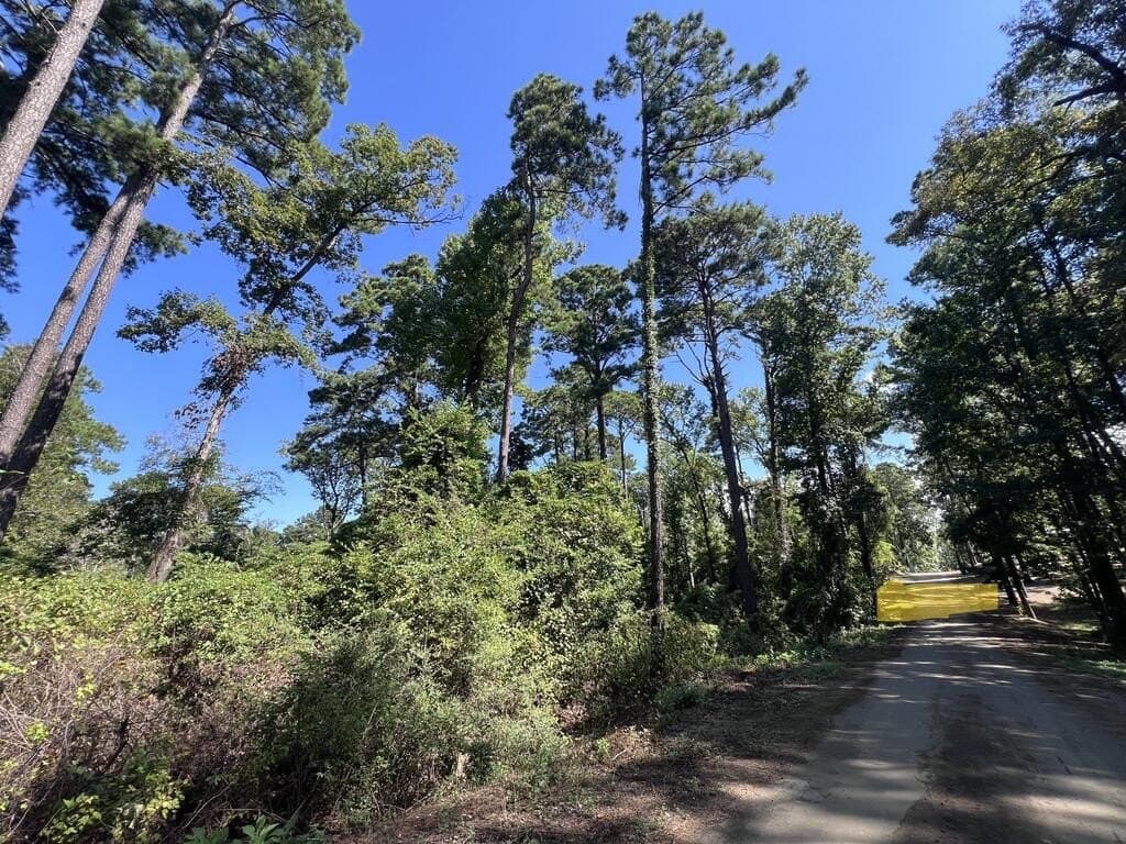1.6 acres in Texas County - photo 2