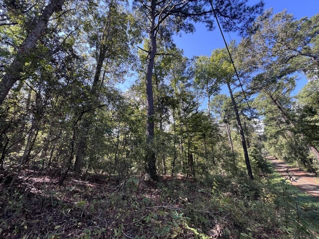 1.6 acres in Texas County - photo 9