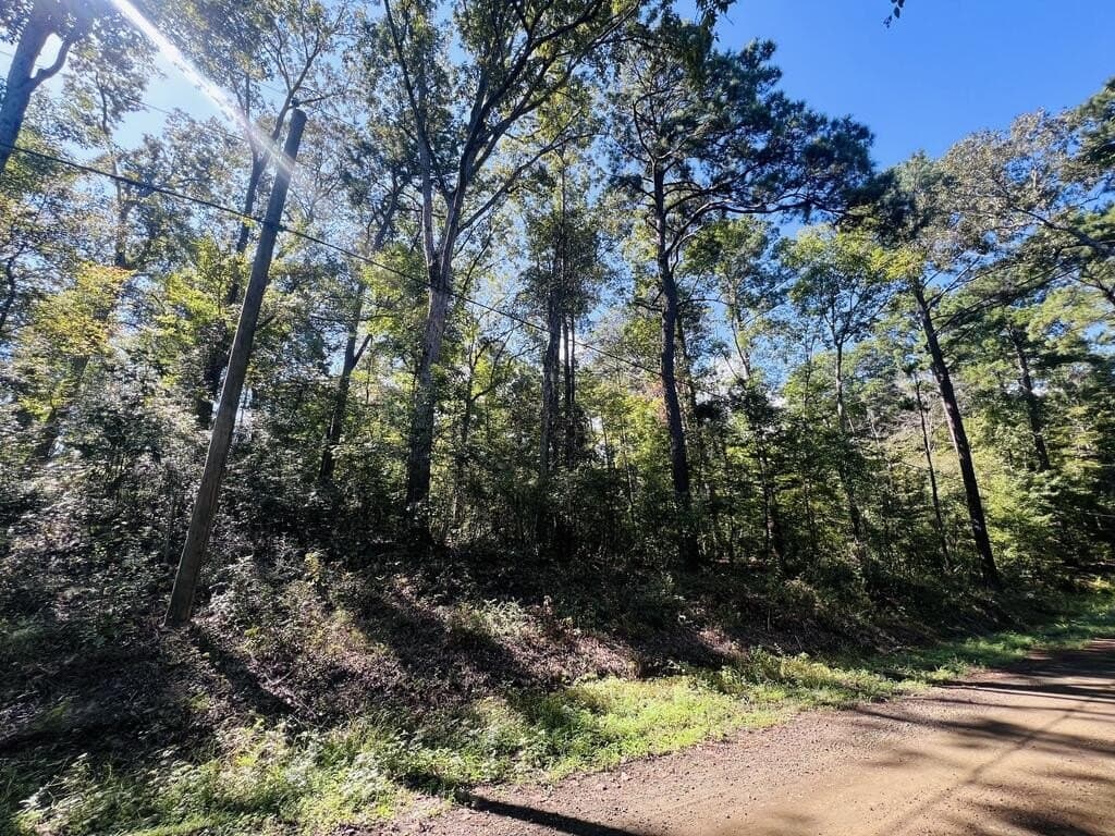1.6 acres in Texas County - photo 12