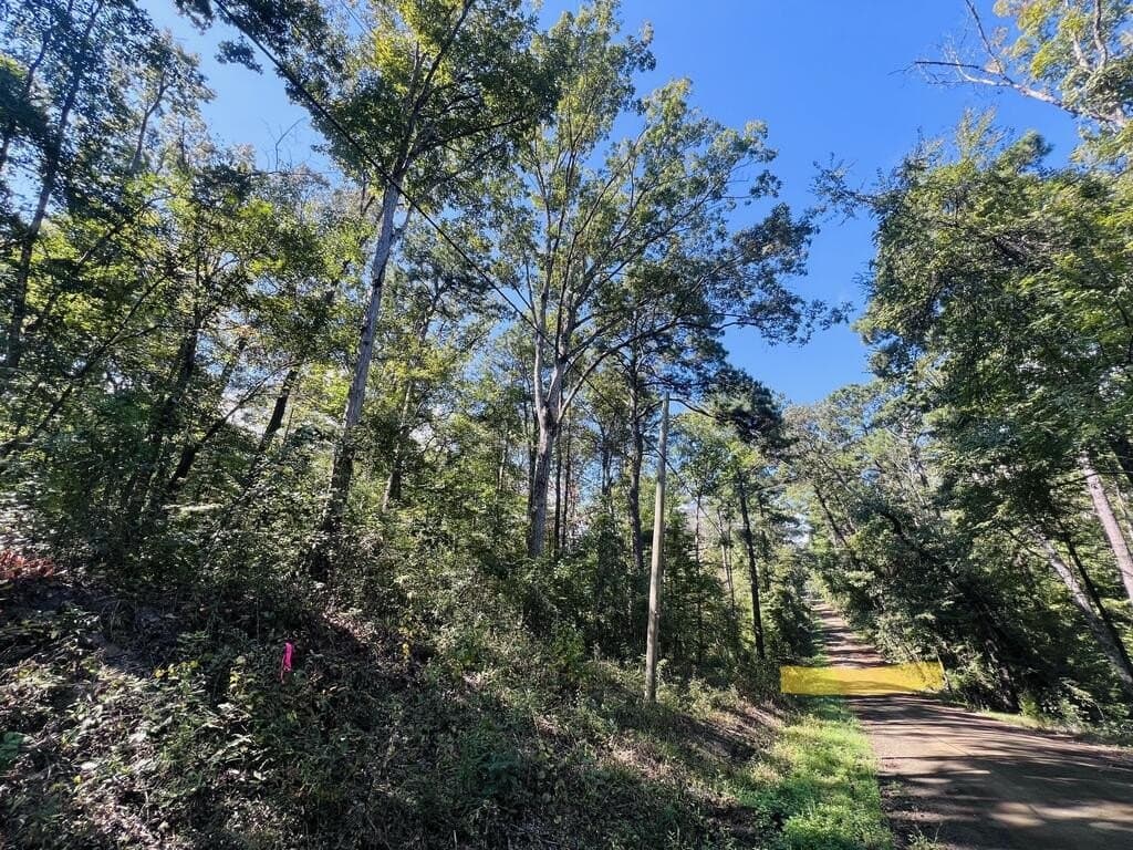 1.6 acres in Texas County - photo 11