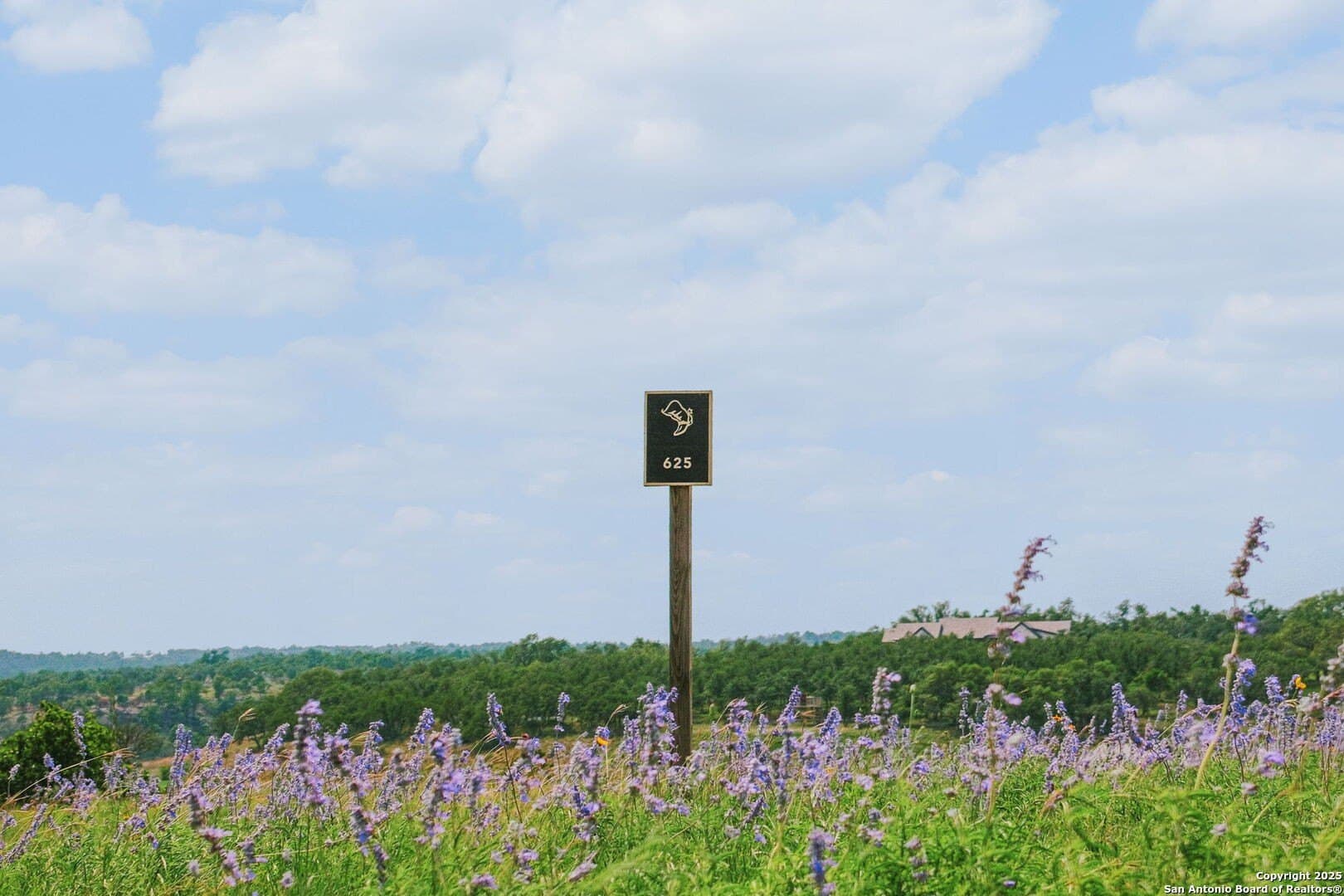2.91 acres in Gillespie County - photo 15