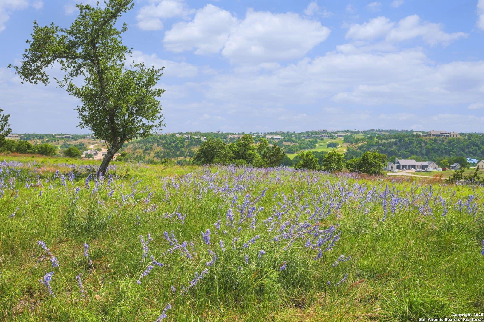 2.91 acres in Gillespie County - photo 8
