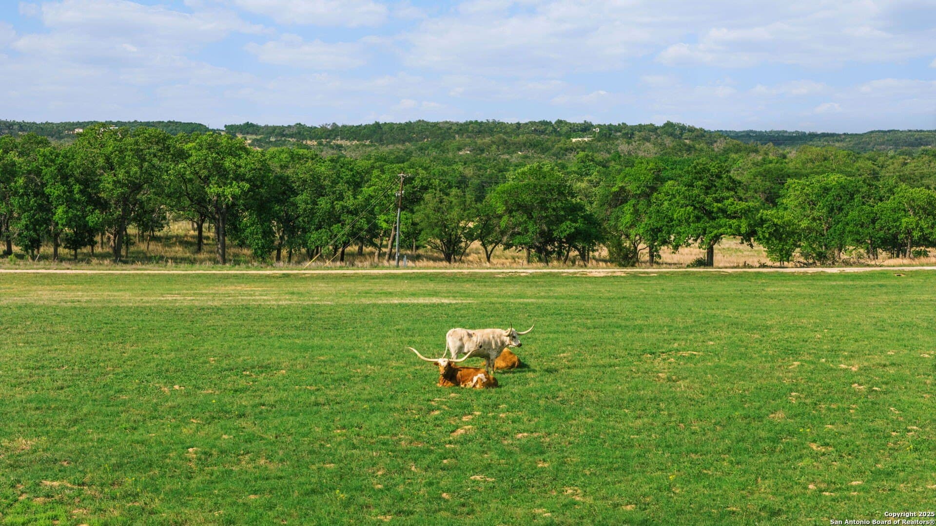 2.91 acres in Gillespie County - photo 17