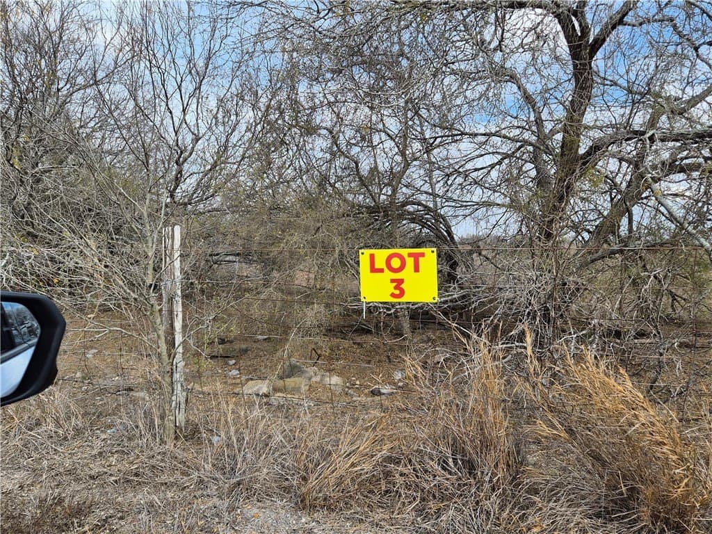2.5 acres in Kleberg County gallery image 2