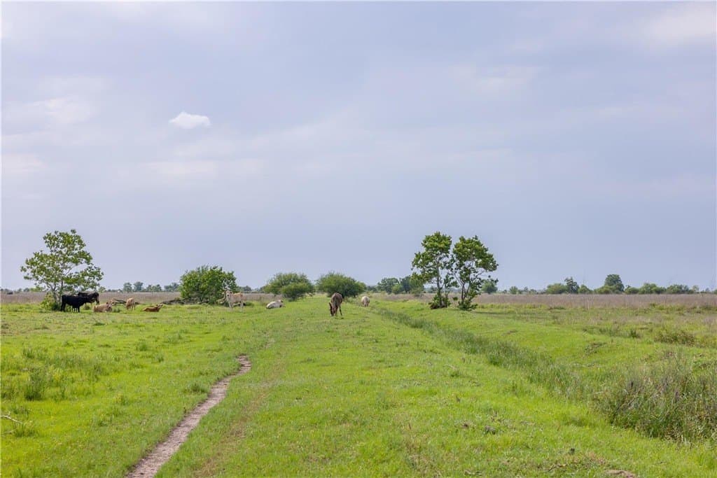 118 acres in WALLER County - photo 22