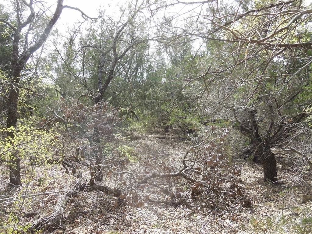 1.04 acres in Eastland County featured view