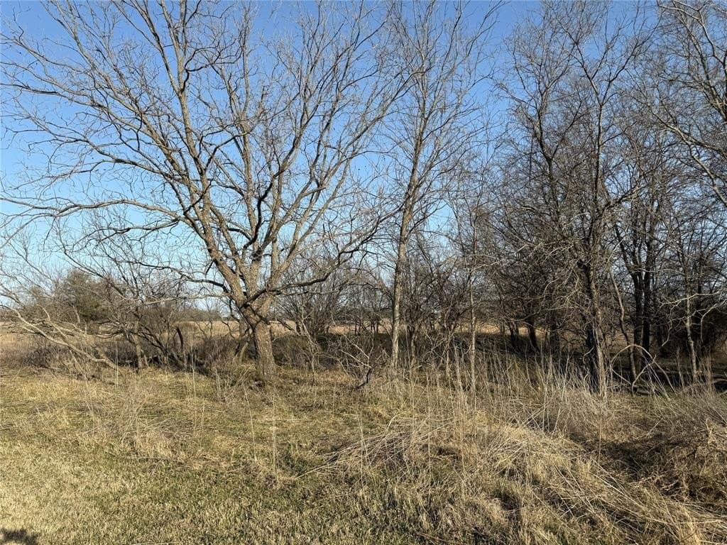 68.25 acres in Bosque County gallery image 3