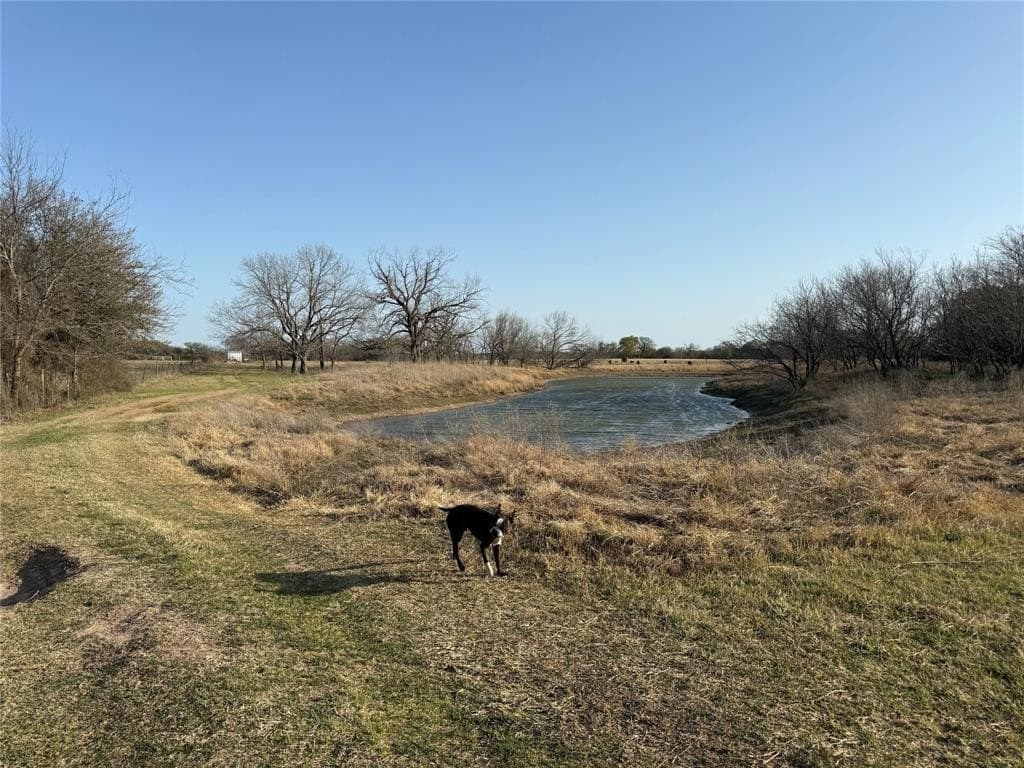 68.25 acres in Bosque County gallery image 4