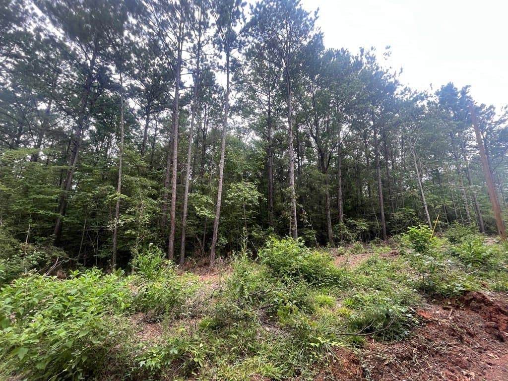 16.74 acres in Texas County - photo 3