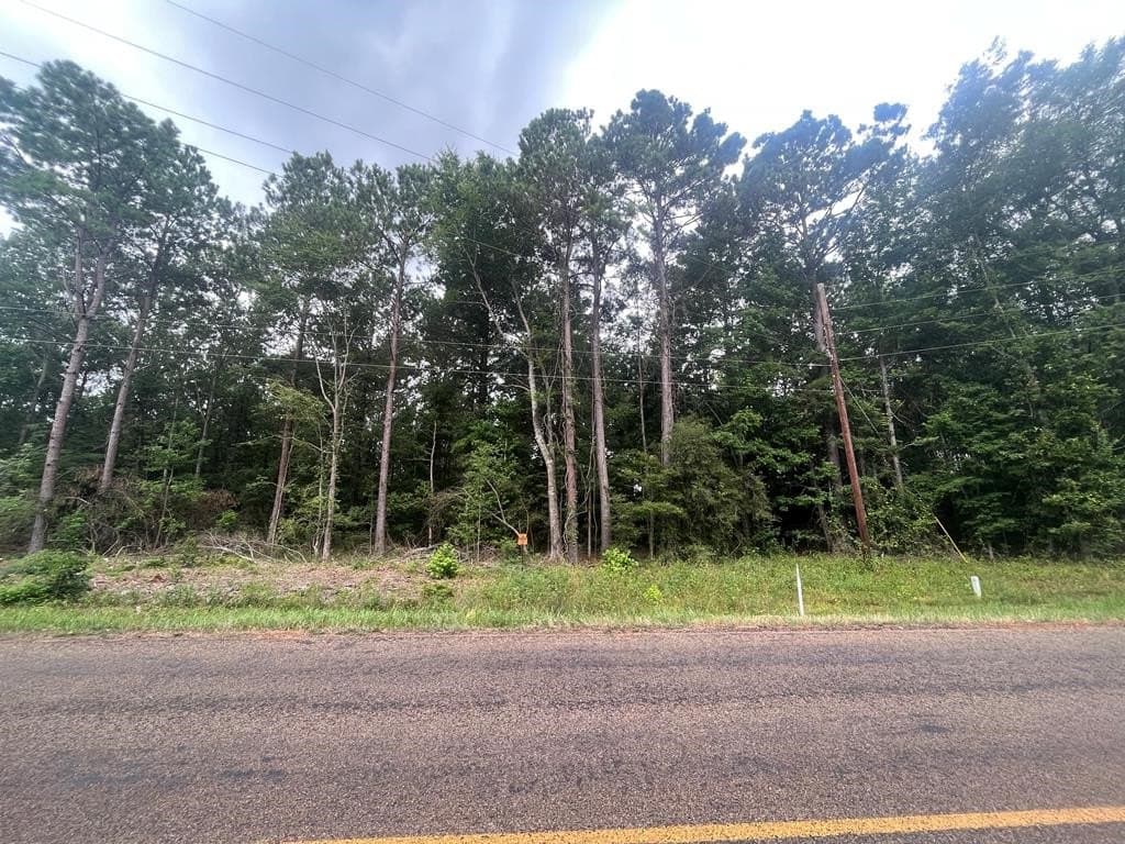 16.74 acres in Texas County